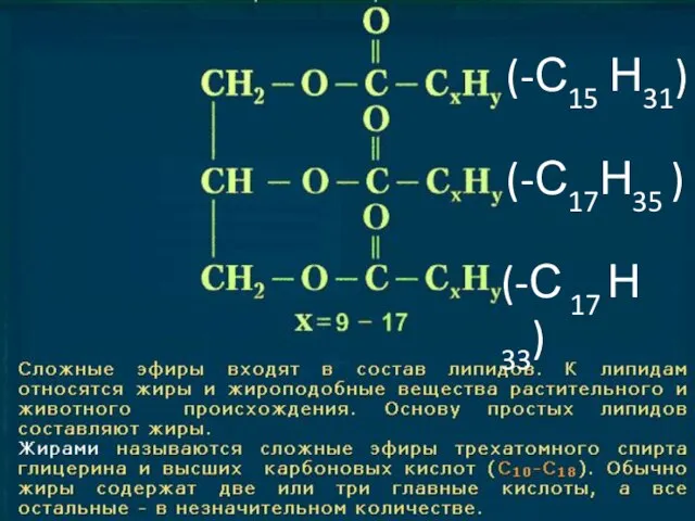 (-С17Н35 ) (-С15 Н31) (-С 17 Н 33)