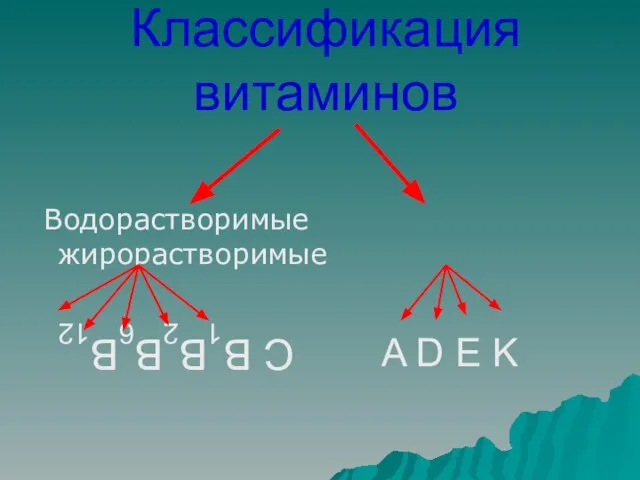 Классификация витаминов Водорастворимые жирорастворимые C B1B2B6B12 A D E K