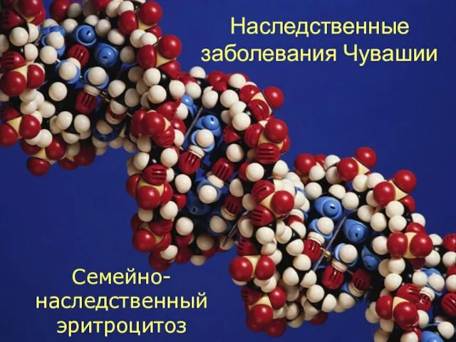 Наследственные заболевания Чувашии Семейно-наследственный эритроцитоз