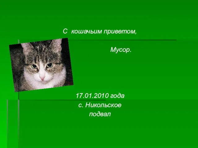 С кошачьим приветом, Мусор. 17.01.2010 года с. Никольское подвал