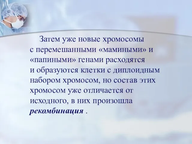 Затем уже новые хромосомы с перемешанными «мамиными» и «папиными» генами расходятся и