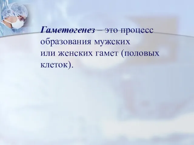 Гаметогенез – это процесс образования мужских или женских гамет (половых клеток).