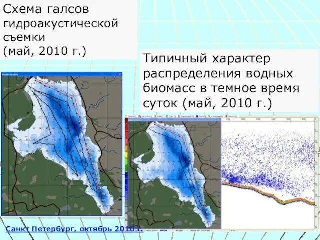 Типичный характер распределения водных биомасс в темное время суток (май, 2010 г.)