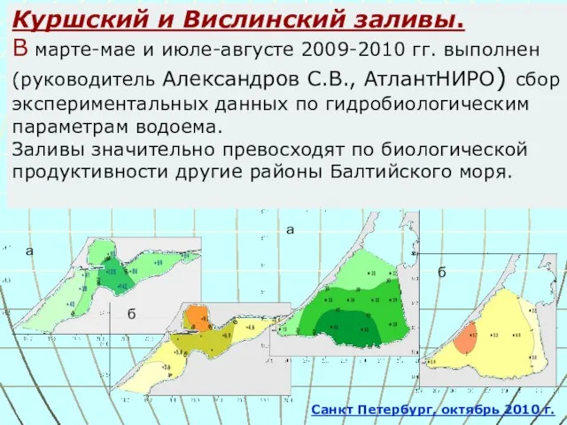 Куршский и Вислинский заливы. В марте-мае и июле-августе 2009-2010 гг. выполнен (руководитель