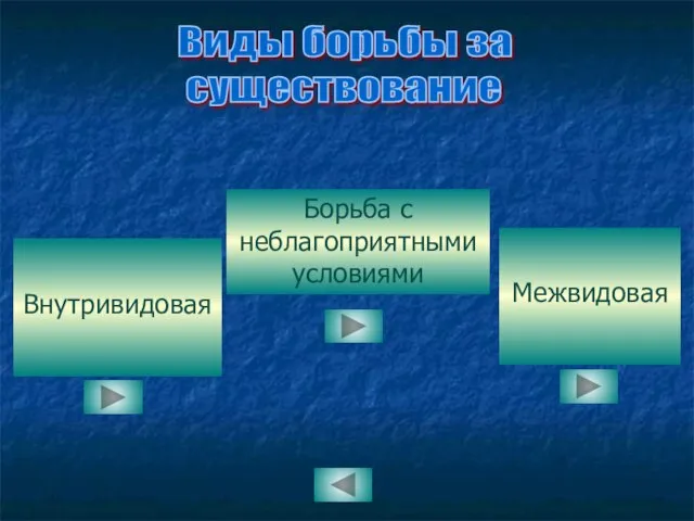 Внутривидовая Межвидовая Борьба с неблагоприятными условиями Виды борьбы за существование