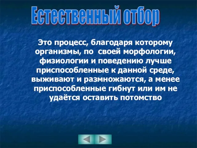 Естественный отбор Это процесс, благодаря которому организмы, по своей морфологии, физиологии и