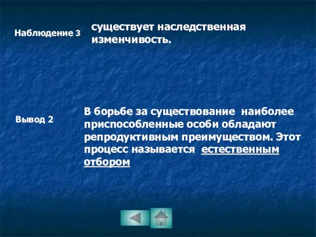 Наблюдение 3 существует наследственная изменчивость. Вывод 2 В борьбе за существование наиболее