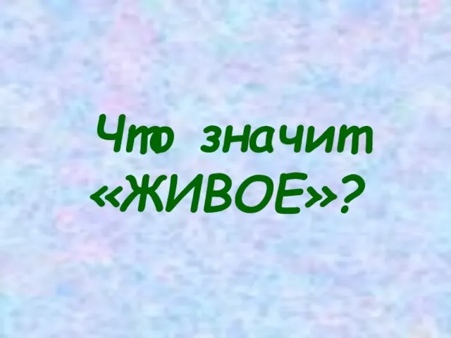 Что значит «ЖИВОЕ»?