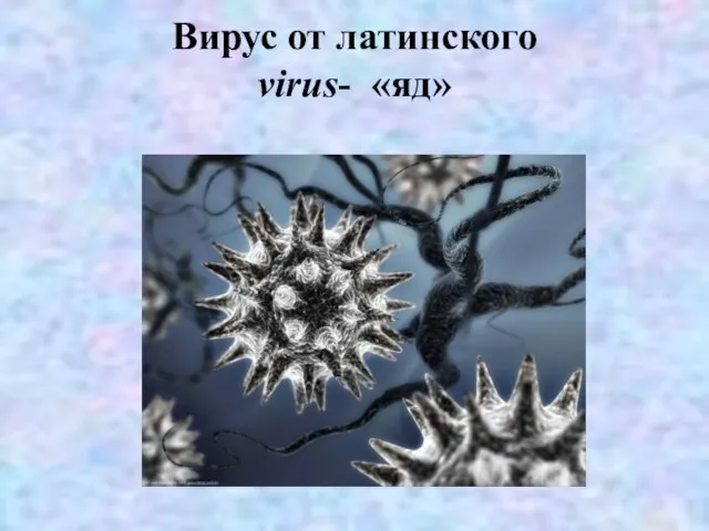 Вирус от латинского virus- «яд»