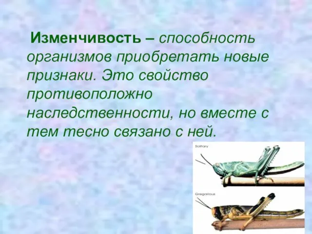 Изменчивость – способность организмов приобретать новые признаки. Это свойство противоположно наследственности, но