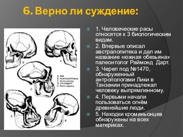 6. Верно ли суждение: 1. Человеческие расы относятся к 3 биологическим видам.