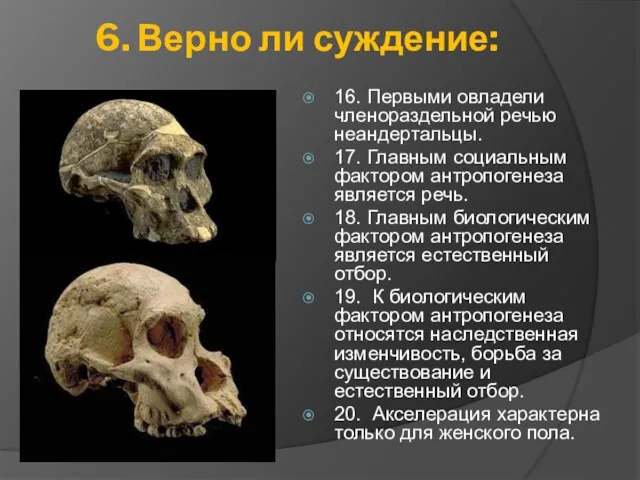 6. Верно ли суждение: 16. Первыми овладели членораздельной речью неандертальцы. 17. Главным