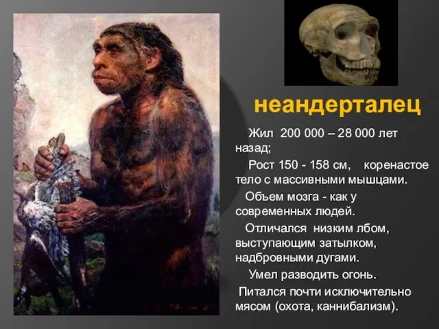 неандерталец Жил 200 000 – 28 000 лет назад; Рост 150 -