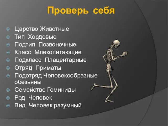 Проверь себя Царство Животные Тип Хордовые Подтип Позвоночные Класс Млекопитающие Подкласс Плацентарные