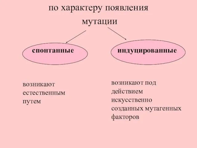 по характеру появления мутации возникают естественным путем возникают под действием искусственно созданных мутагенных факторов спонтанные индуцированные