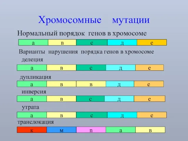 Хромосомные мутации Нормальный порядок генов в хромосоме а в с д е