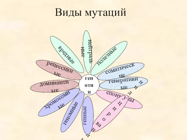 Виды мутаций генотип соматические полезные генеративные хромосомные спонтанные вредные рецессивные доминантные индуцированные генные нейтральные геномные