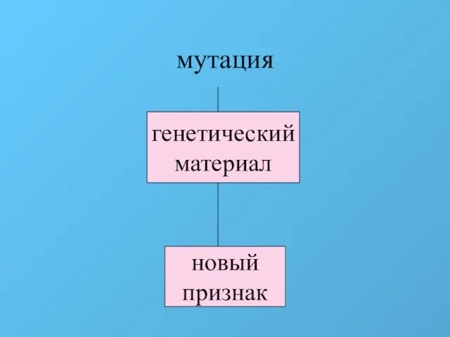 мутация новый признак генетический материал