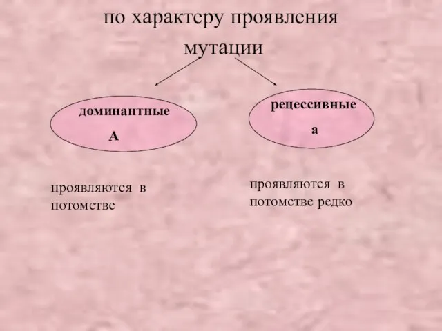 по характеру проявления мутации проявляются в потомстве проявляются в потомстве редко доминантные А рецессивные а