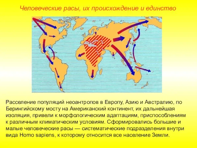 Человеческие расы, их происхождение и единство Расселение популяций неоантропов в Европу, Азию