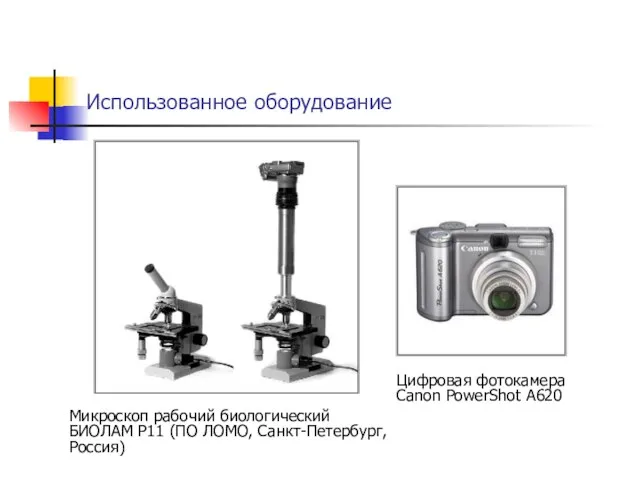 Использованное оборудование Микроскоп рабочий биологический БИОЛАМ Р11 (ПО ЛОМО, Санкт-Петербург, Россия) Цифровая фотокамера Canon PowerShot A620