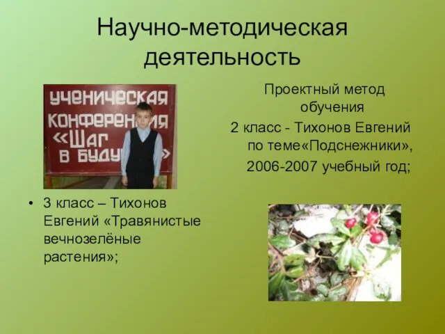 Научно-методическая деятельность Проектный метод обучения 2 класс - Тихонов Евгений по теме«Подснежники»,