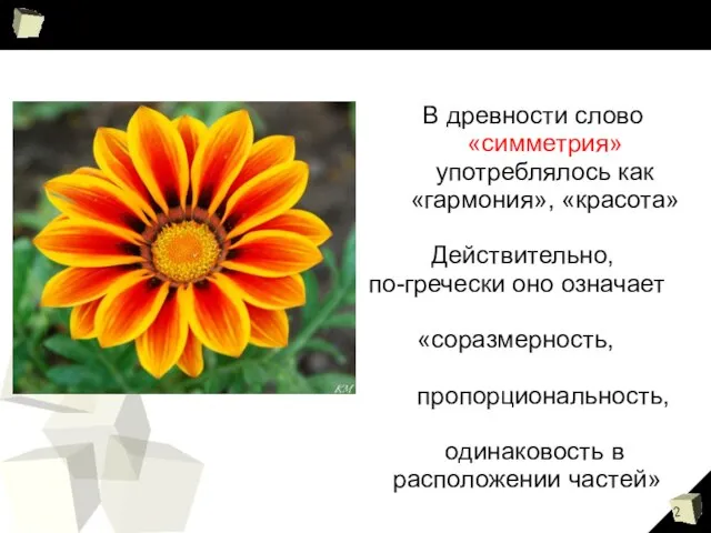 В древности слово «симметрия» употреблялось как «гармония», «красота» Действительно, по-гречески оно означает