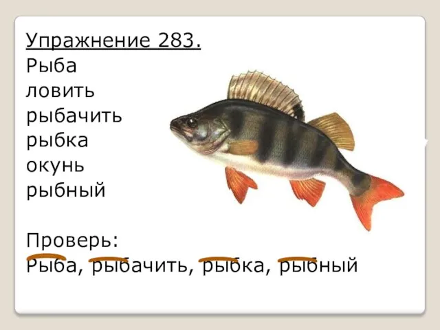Упражнение 283. Рыба ловить рыбачить рыбка окунь рыбный Проверь: Рыба, рыбачить, рыбка, рыбный