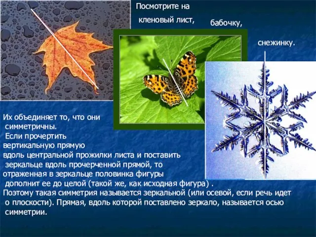 Посмотрите на кленовый лист, бабочку, снежинку. Их объединяет то, что они симметричны.