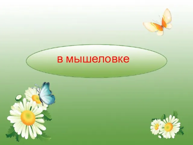 в мышеловке