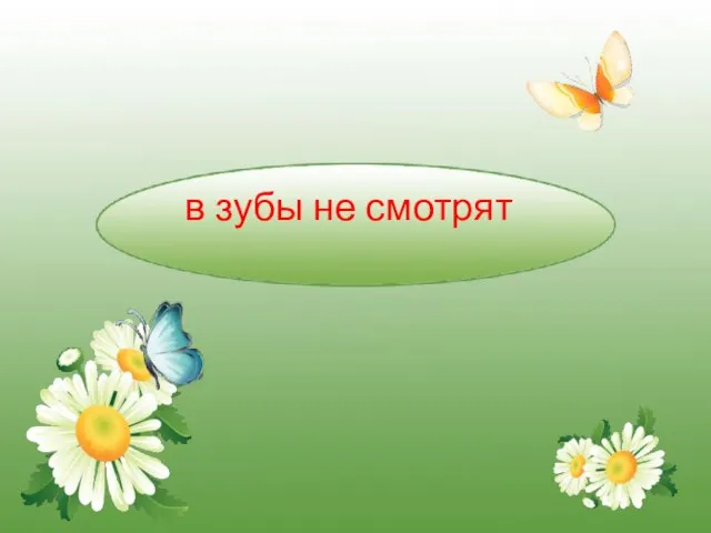 в зубы не смотрят