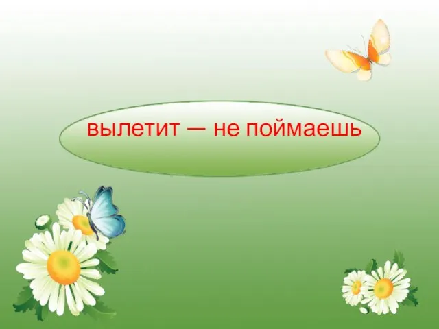 вылетит — не поймаешь