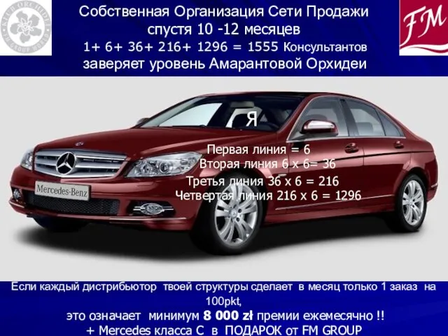 Собственная Организация Сети Продажи спустя 10 -12 месяцев Если каждый дистрибьютор твоей