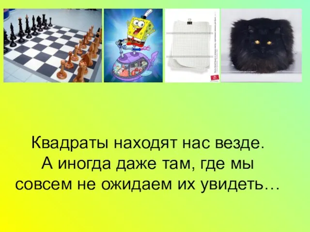 Квадраты находят нас везде. А иногда даже там, где мы совсем не ожидаем их увидеть…