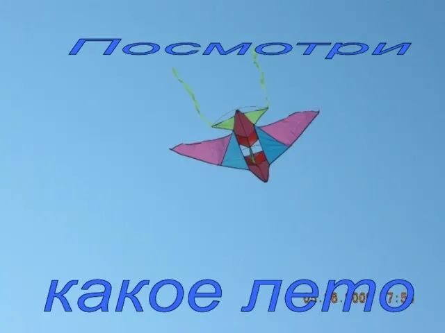 Посмотри какое лето