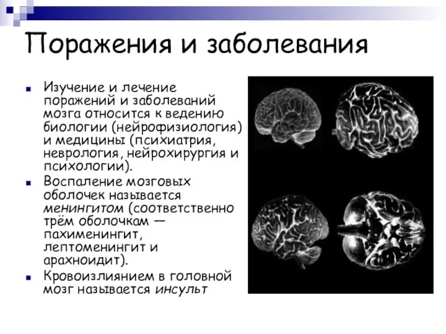 Поражения и заболевания Изучение и лечение поражений и заболеваний мозга относится к