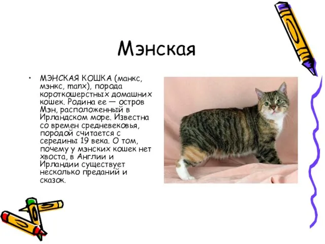 Мэнская МЭНСКАЯ КОШКА (манкс, мэнкс, manx), порода короткошерстных домашних кошек. Родина ее