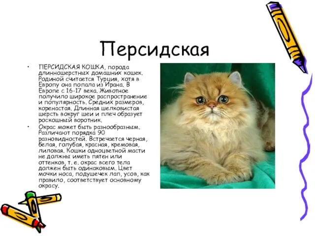 Персидская ПЕРСИДСКАЯ КОШКА, порода длинношерстных домашних кошек. Родиной считается Турция, хотя в