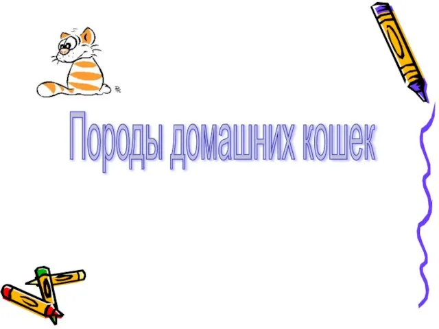 Породы домашних кошек