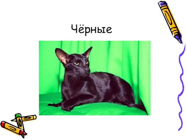 Чёрные