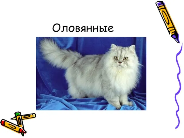 Оловянные