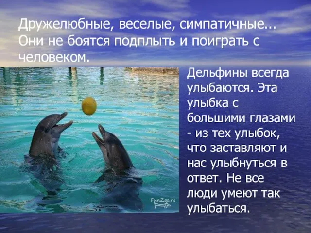 Дружелюбные, веселые, симпатичные... Они не боятся подплыть и поиграть с человеком. Дельфины