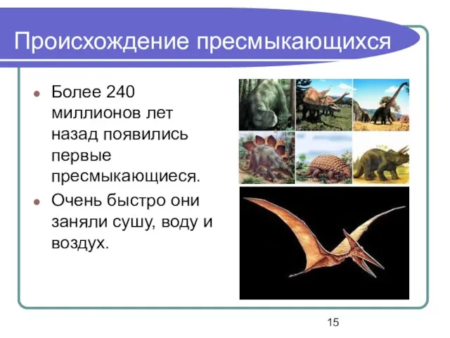 Происхождение пресмыкающихся Более 240 миллионов лет назад появились первые пресмыкающиеся. Очень быстро