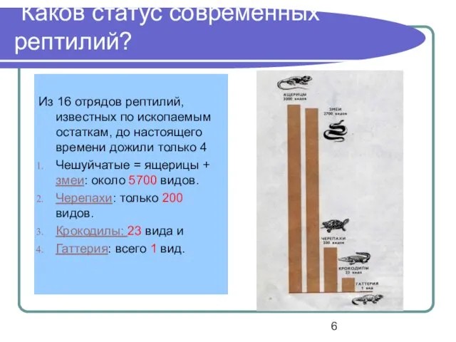 Каков статус современных рептилий? Из 16 отрядов рептилий, известных по ископаемым остаткам,