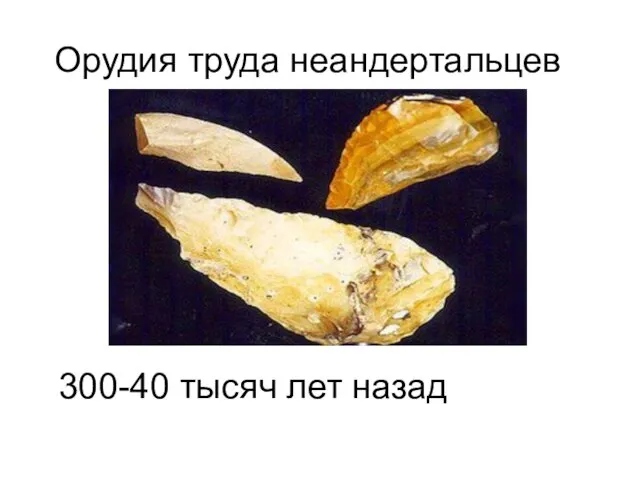 Орудия труда неандертальцев 300-40 тысяч лет назад