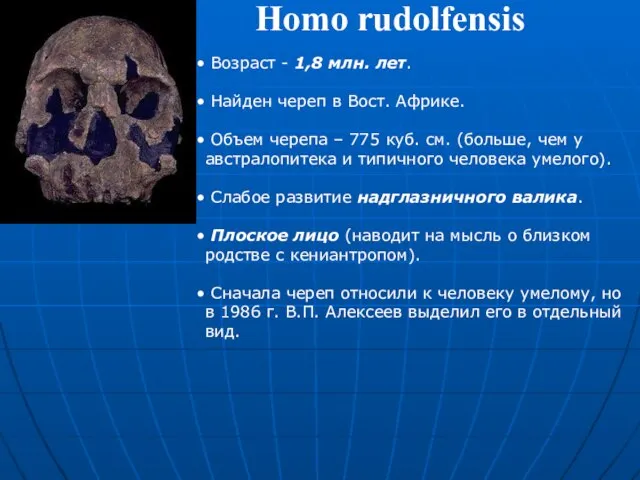 Homo rudolfensis Возраст - 1,8 млн. лет. Найден череп в Вост. Африке.