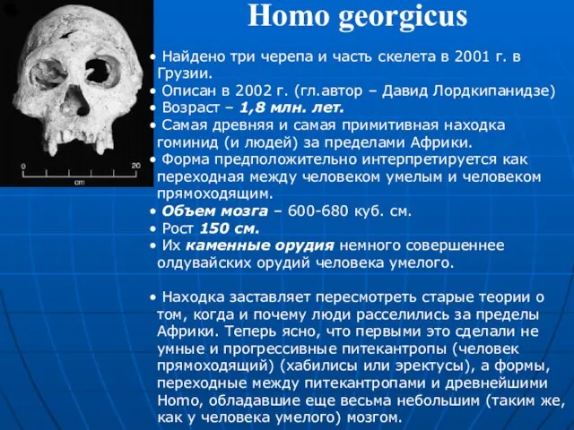 Homo georgicus Найдено три черепа и часть скелета в 2001 г. в