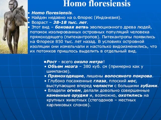 Homo floresiensis Homo floresiensis. Найден недавно на о.Флорес (Индонезия). Возраст – 38-18
