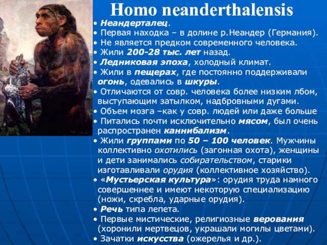 Homo neanderthalensis Неандерталец. Первая находка – в долине р.Неандер (Германия). Не является