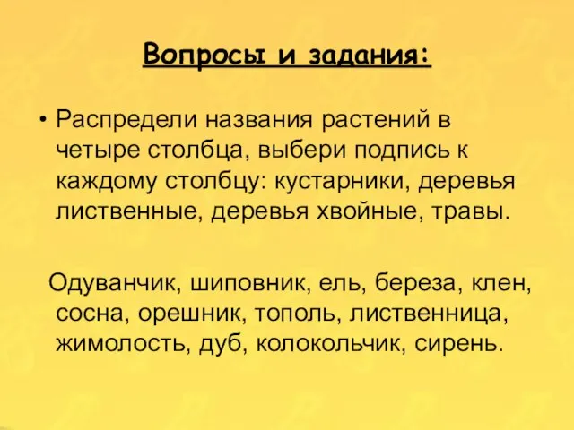 Распредели названия растений в четыре столбца, выбери подпись к каждому столбцу: кустарники,